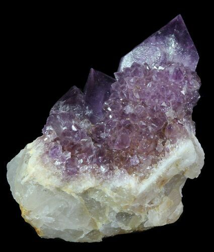 Dark Cactus Quartz (Amethyst) Crystal - South Africa #64214